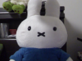 リッド＠ＰＣＭＡＸ